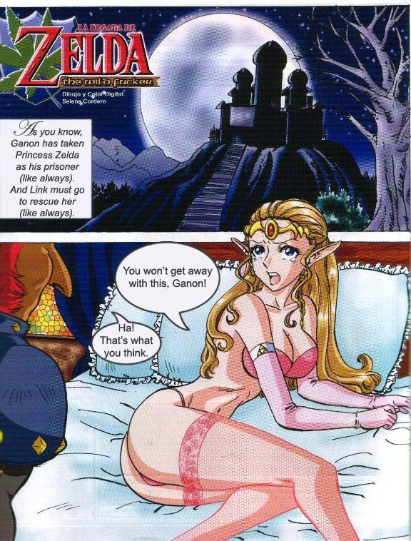 Zelda – The Wild Fucker