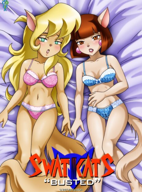 Swat Kats