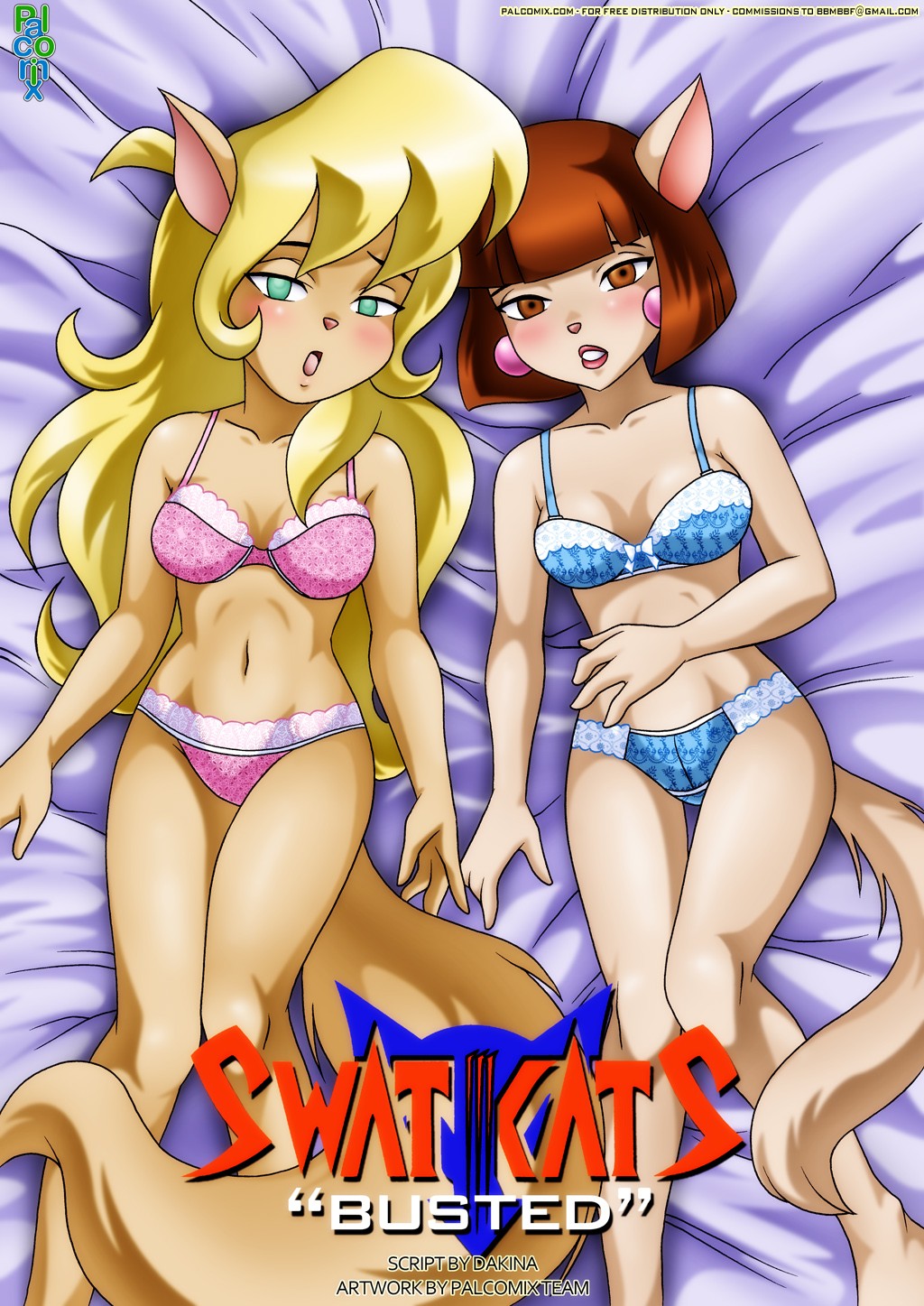 Swat Kats